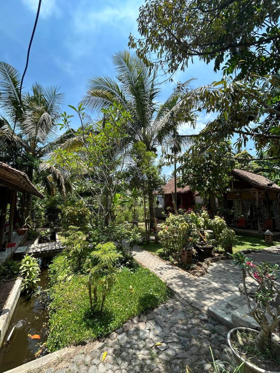 Didu'S Homestay Bed & Breakfast Banyuwangi  Buitenkant foto