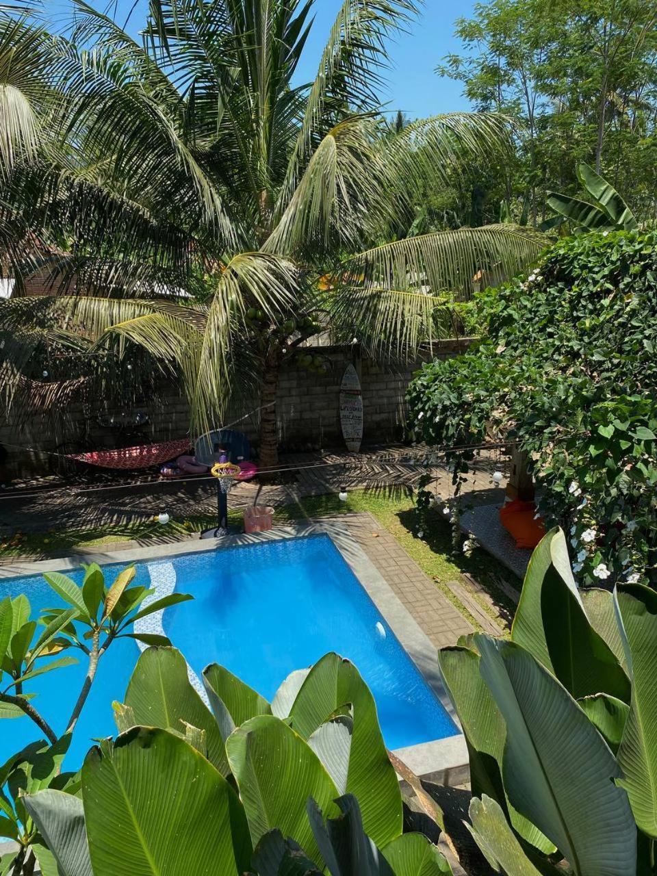 Didu'S Homestay Bed & Breakfast Banyuwangi  Buitenkant foto